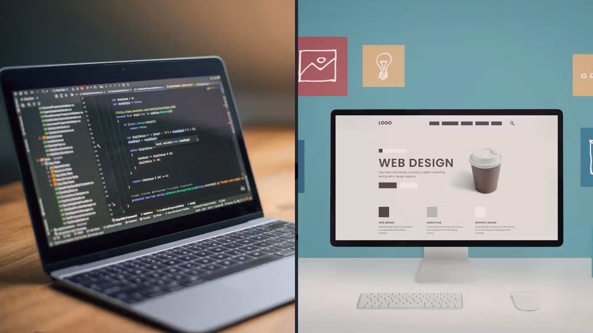Web Developer VS Web Designer